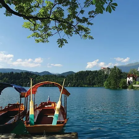 In Nature Reserve Bohinj