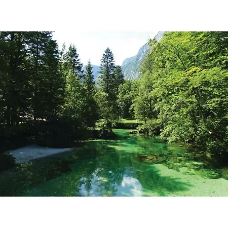 In Nature Reserve * Bohinj